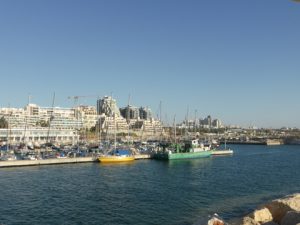 photo of ashkelon marina showing boats docked in the marina.