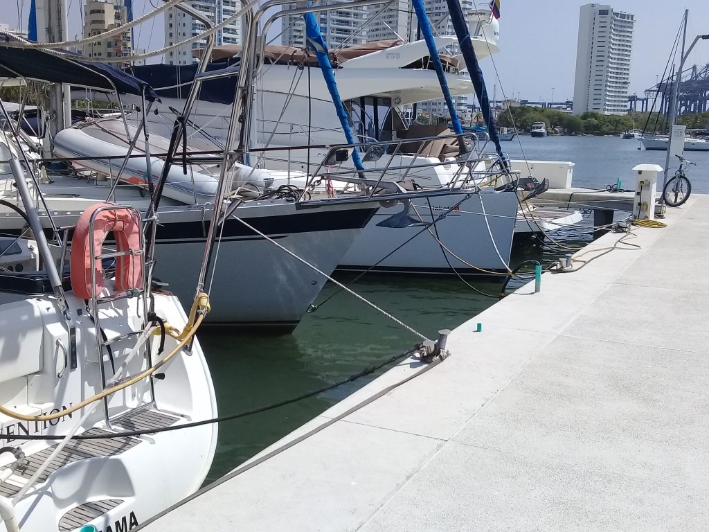 a concrete pontoon with a variety of boats tied stern and bows to, slightly green water and high rises in the background