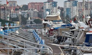 a floating pontoon stretching away from the viewer with many gangways coming down onto it and many boats stern-to the dock