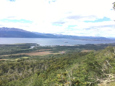 view of the bay looking towards Puerto Williams