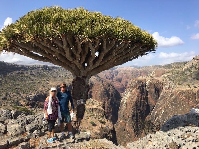 famous socotra trees with thick web like branches and green tops with a couple standing next to it and rocky dry landscape all around