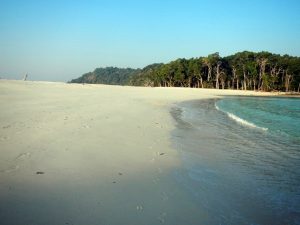 beautiful beach image with palm trees in the distance