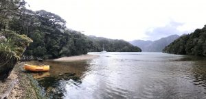 scenic view of the anchorage in doubtful sound, fiordland, new zealand