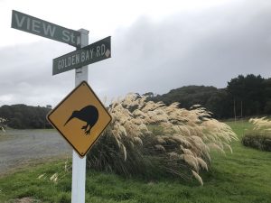 Photo of trail signs in Oban