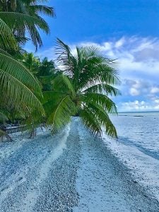Palm tree, beach, sea and sky on the island of suwarrow in the south pacific