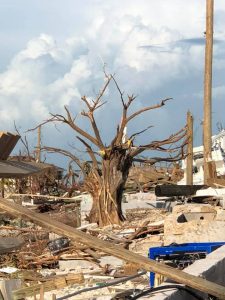 a bare tree with no leaves and debris hanging in its branches stands in the middle of a scene of rubble and devastation