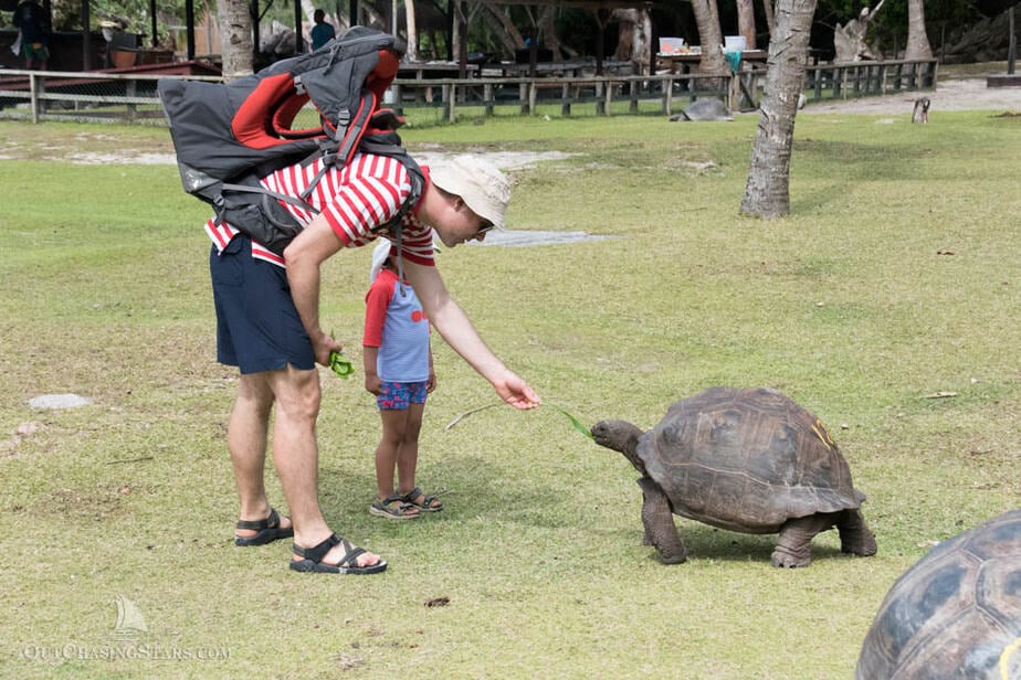 a man with his child feeding a giant tortoise the size of small boulder