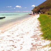 a white sandy beach stretching away from you with blue sea on the left and green border vegetation on the right