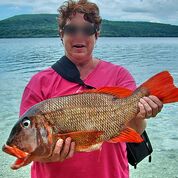 a woman in a pink t shirt proudly holding up a colourful reef fish dying in her hands